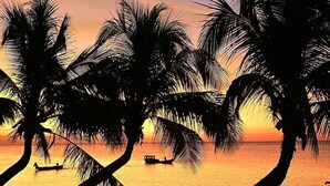 Une scène de plage avec des palmiers se découpant sur le ciel au coucher du soleil.
