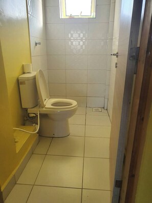 Ducha, toallas, jabón, papel higiénico