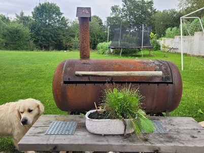 Tauralaukis forest & terrace, free parking