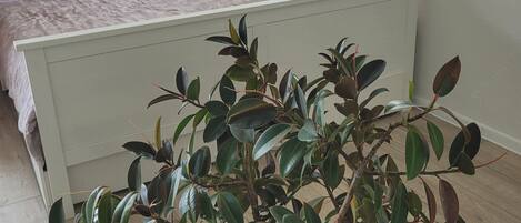 1 makuuhuone, silitysrauta/-lauta, Wi-Fi, vuodevaatteet