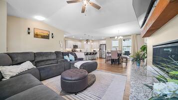 Smart TV, fireplace, books