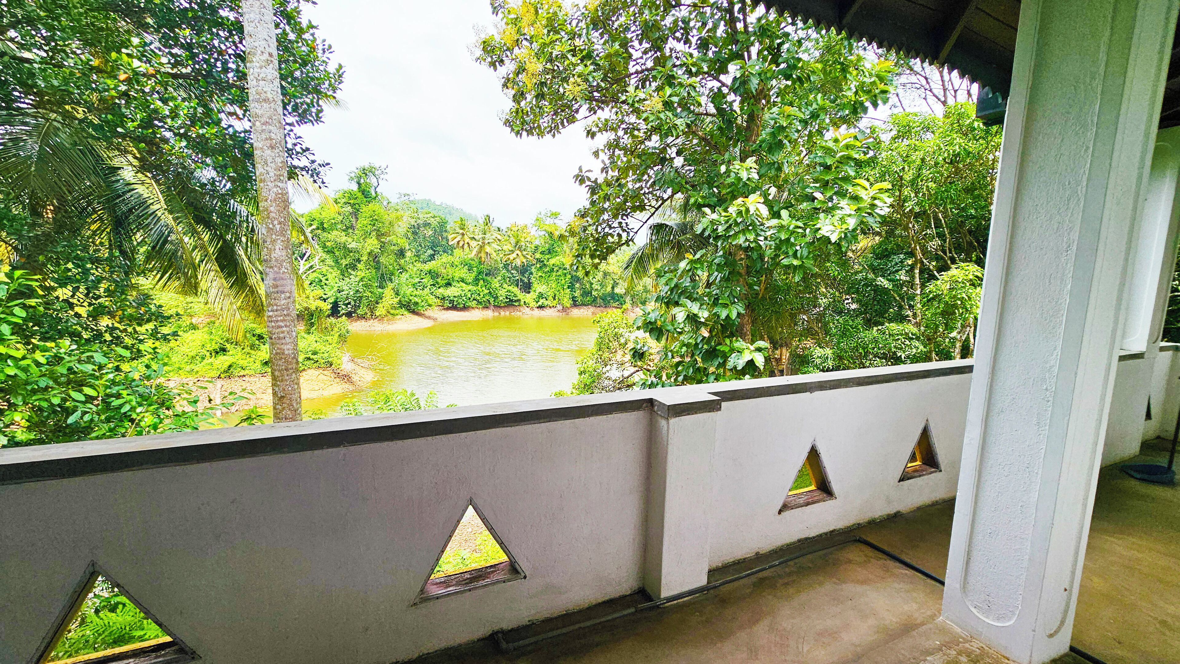 テラス / パティオ