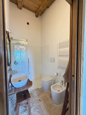 Shower, hair dryer, bidet, towels
