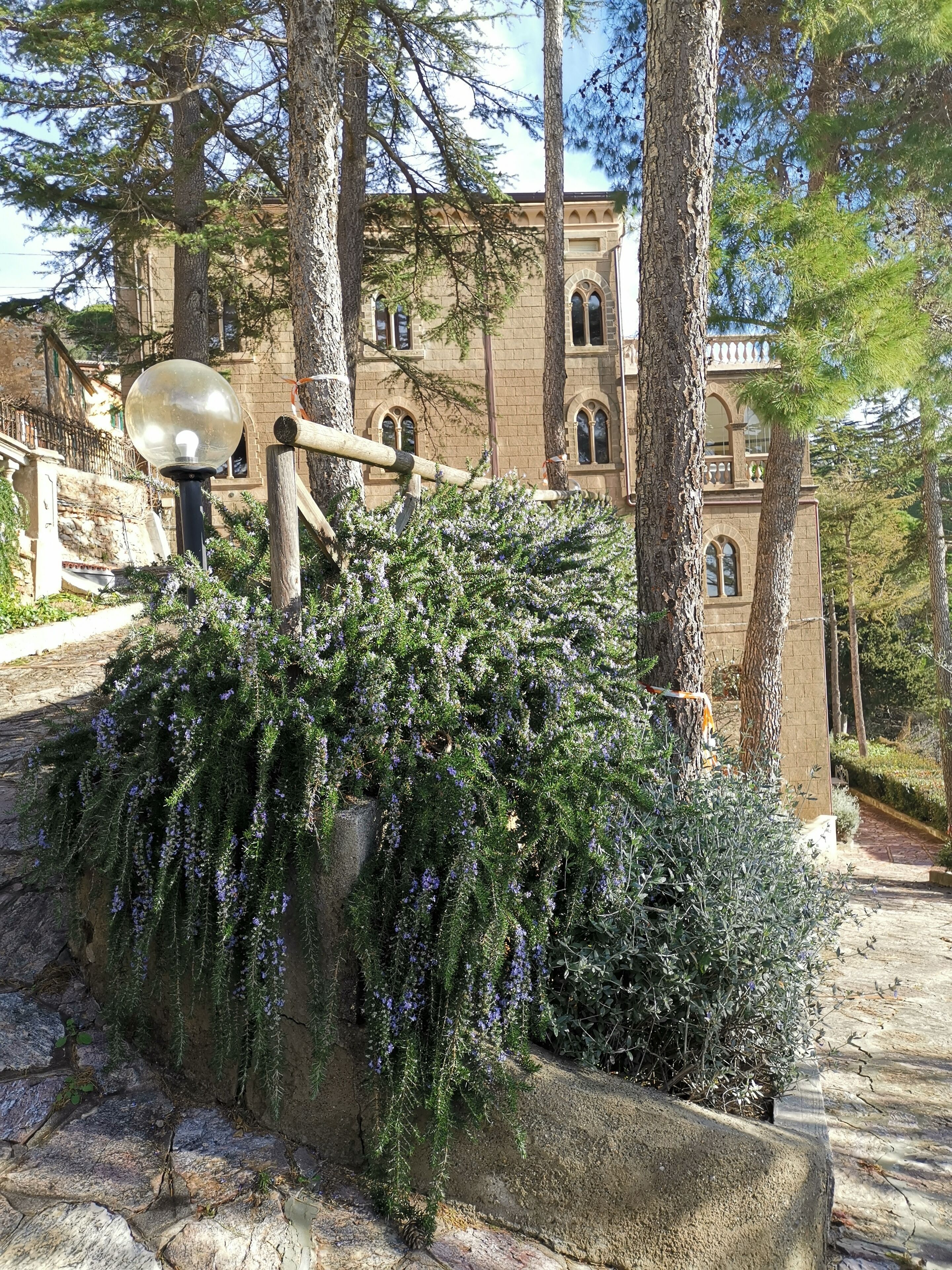 Parco della struttura