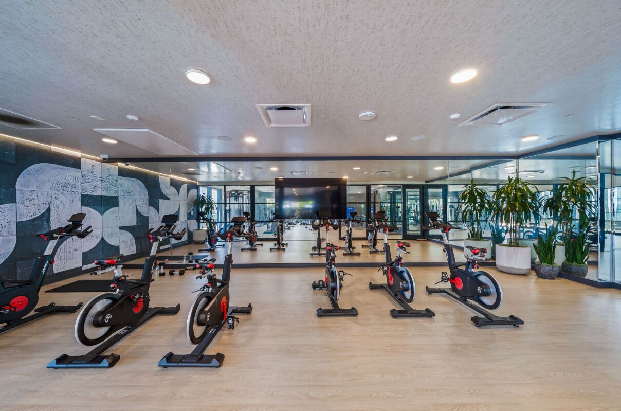A gym with multiple stationary bikes, a large mirror, and potted plants.