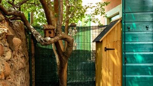 A rustic outdoor area with a tree, a wooden structure, and a green metal fence. - Romantic loft with private garden | Self check-in (Verona)