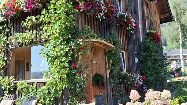 A wooden house with a balcony, potted plants, and outdoor seating. - Room 'Zirbengeist' with Mountain View, Shared Garden and Wi-Fi (Sibratsgfäll)