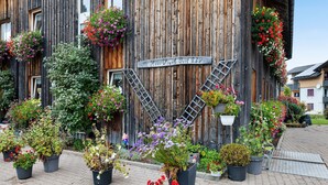A wooden building with a sign reading 'Hanns Vogt Dott 239,' potted plants, and a metal ladder. - Room 'Zirbengeist' with Mountain View, Shared Garden and Wi-Fi (Sibratsgfäll)