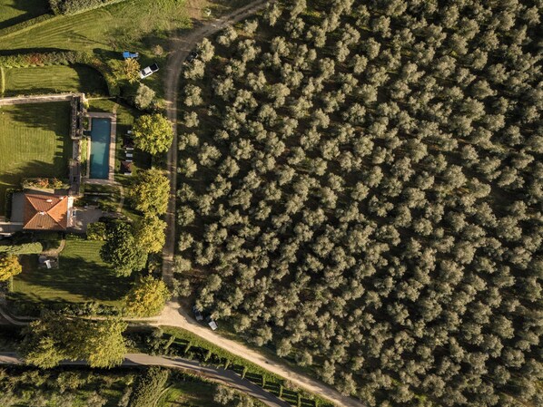 Exterior - Villa Le Cipresse (Impruneta)