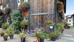 A wooden building with a sign reading 'Hanns Vogt Dott 239,' potted plants, and a metal ladder.
