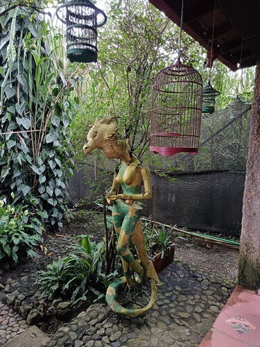 Artsy lush villa with jungle garden in the city