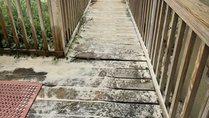 Un paseo marítimo de madera que lleva a una playa con sombrillas y sillas.