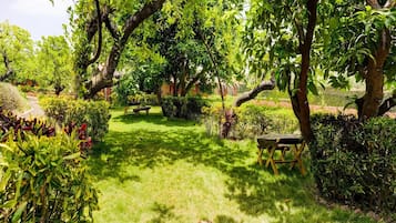 House | Property grounds