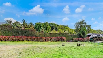 House | Property grounds