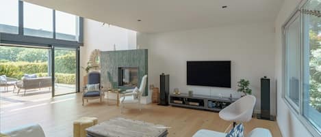 TV, fireplace, video games, DVD player