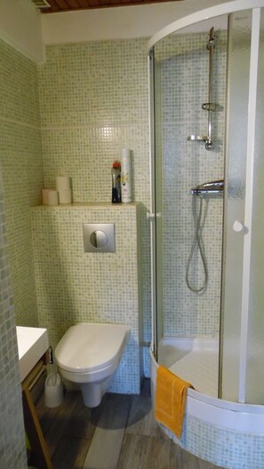 Dusche, Haartrockner, Toilettenpapier
