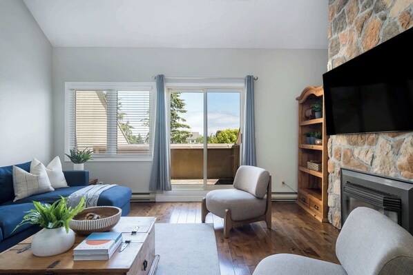 Télévision, cheminée, espaces bureaux