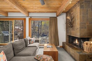 TV, fireplace, offices