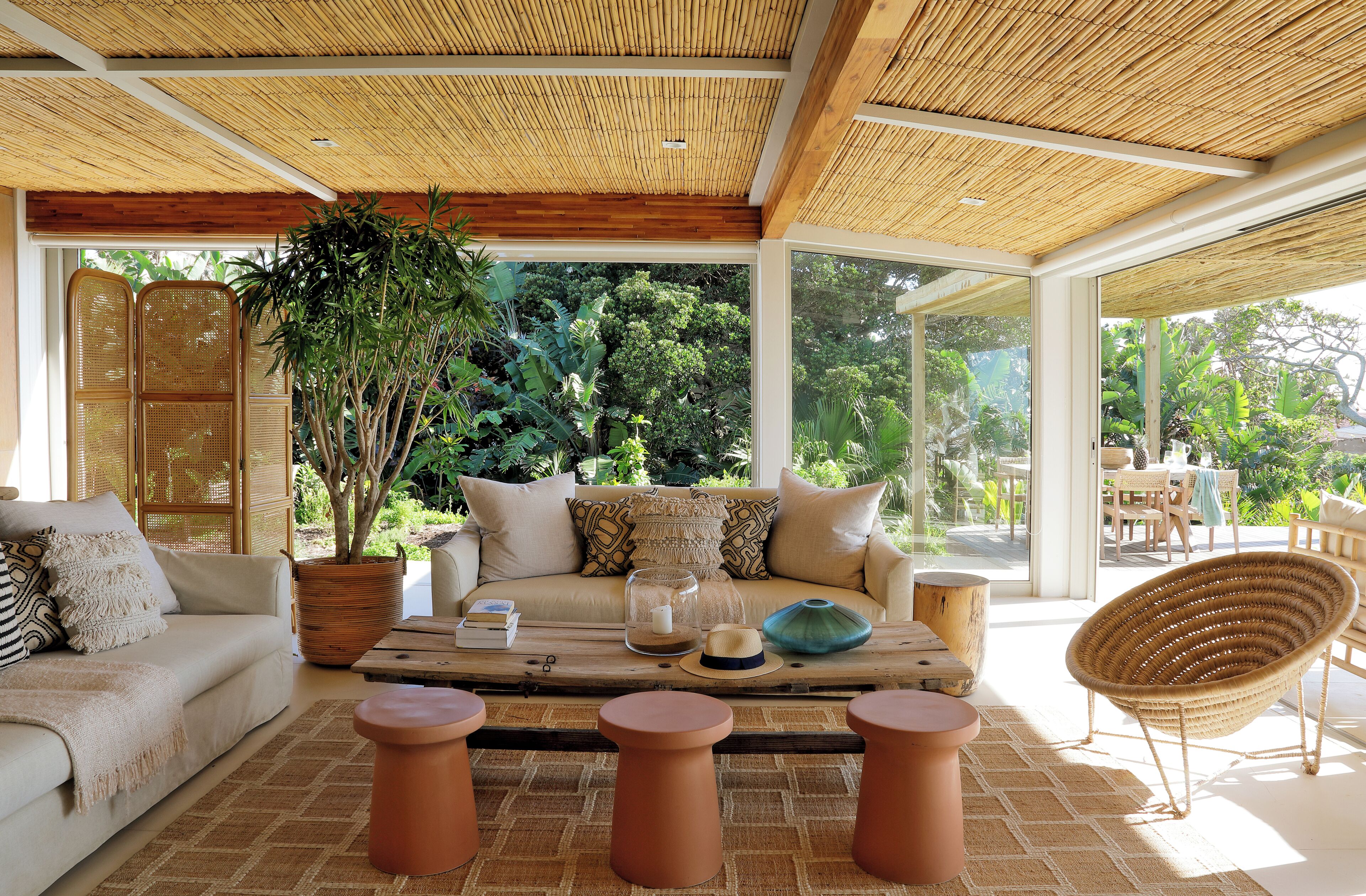 A modern living room with a sofa, coffee table, and chairs, featuring a large plant and a view of the outdoors.