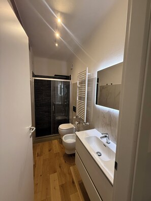 Shower, hair dryer, bidet, towels