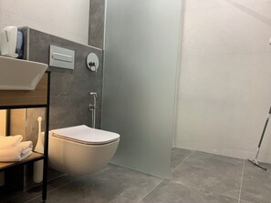Shower, hair dryer, bidet, towels