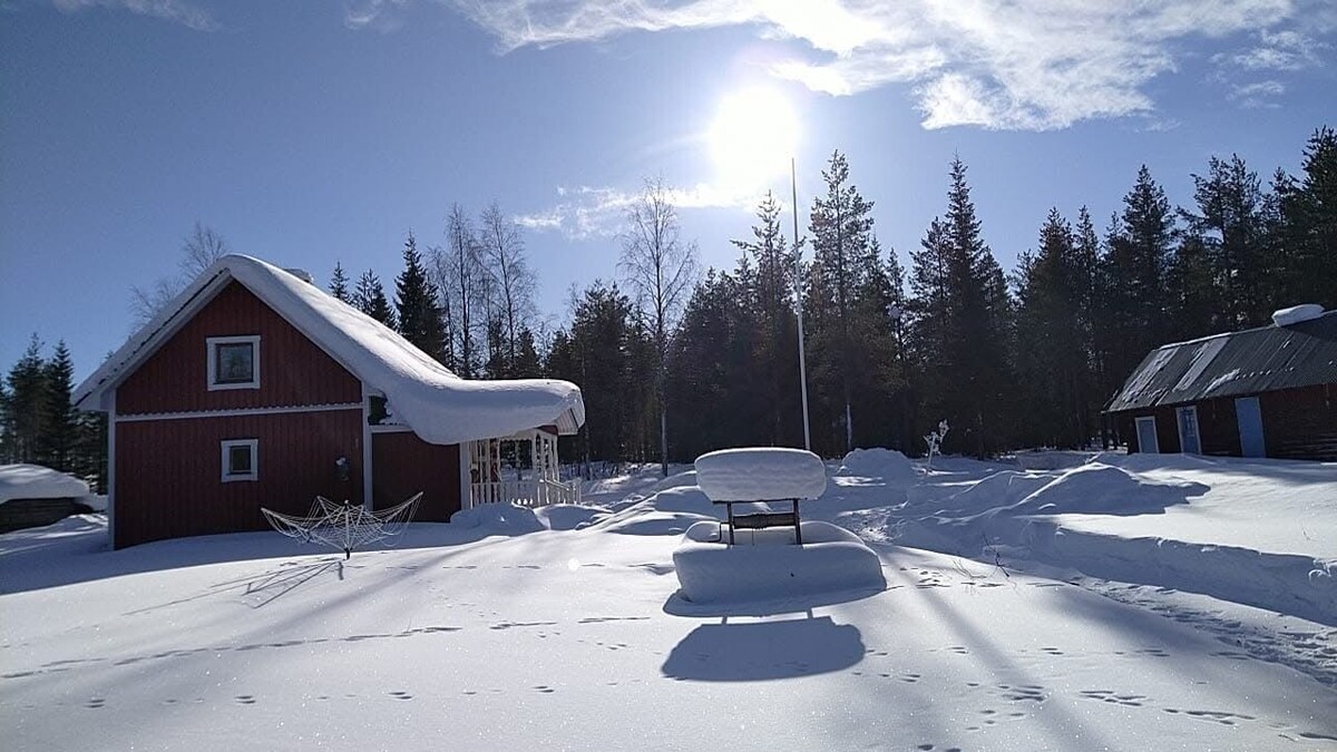 Värdens profilbild