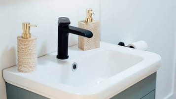 Shower, hair dryer, soap, toilet paper