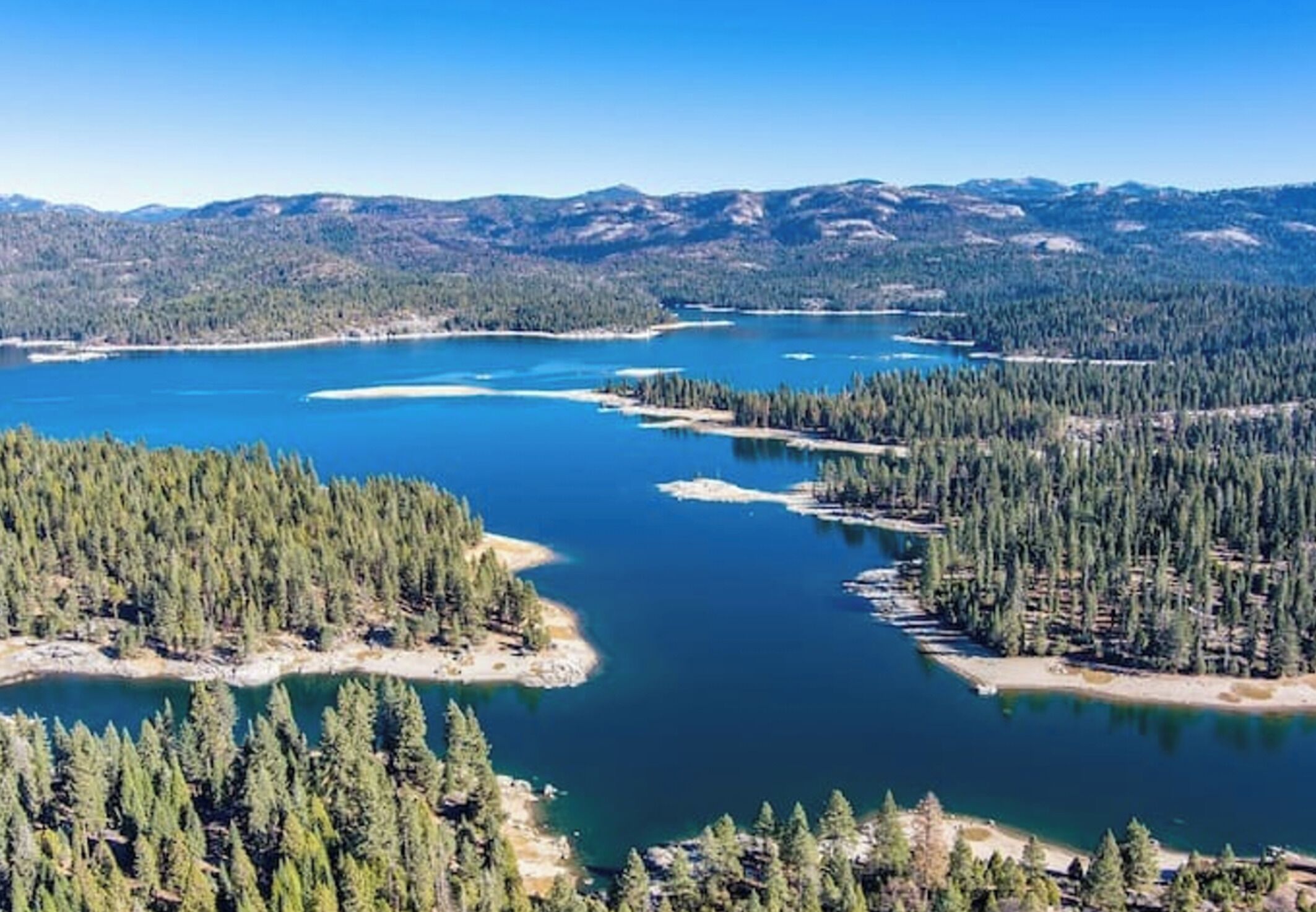 Una extensa masa de agua rodeada de un bosque denso y montañas.