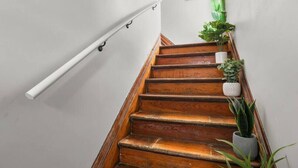 A wooden staircase with a white handrail and potted plants on the right side.