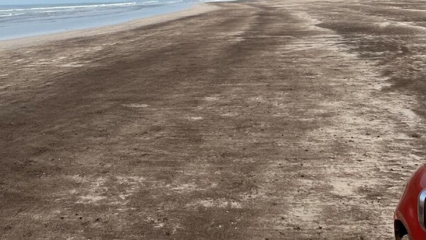 Una playa con cielo despejado, orilla arenosa y colinas al fondo.