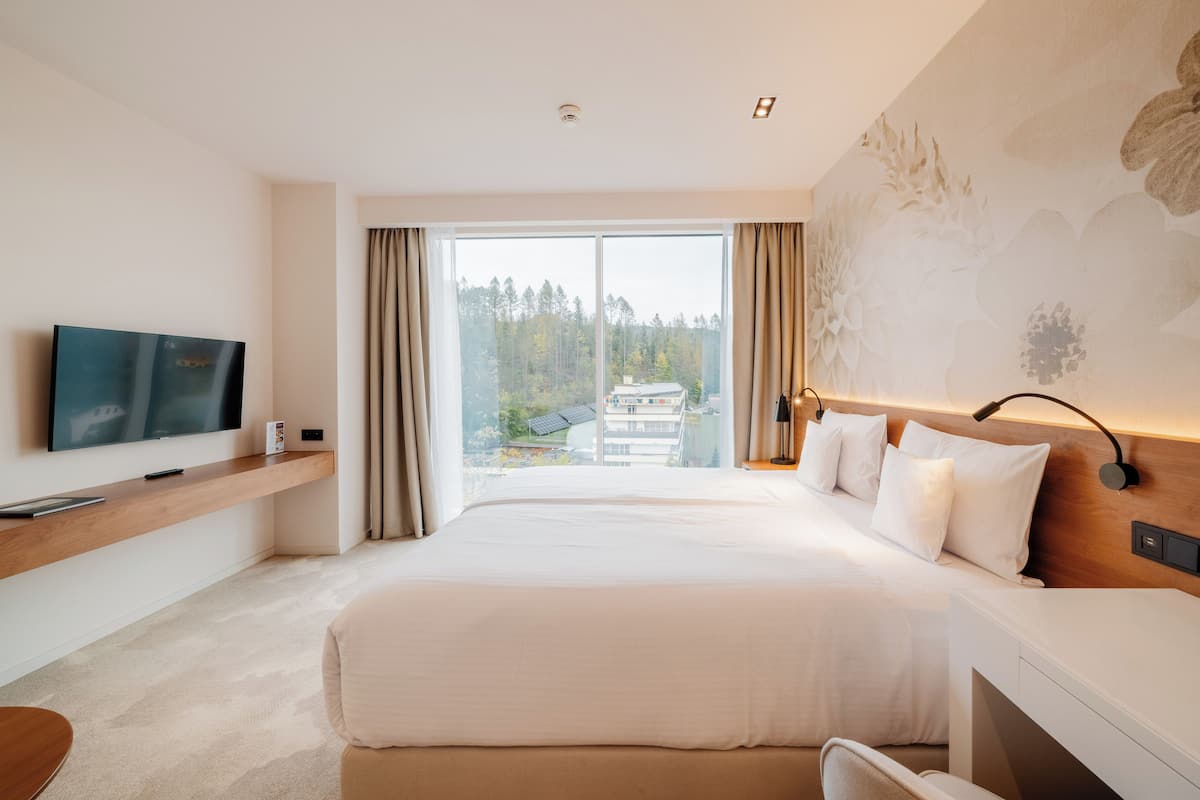 Classic szoba kétszemélyes vagy két külön ággyal | Íróasztal, vasaló/vasalódeszka, ingyenes wifi és ágynemű