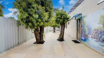 House | Property grounds