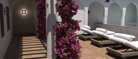 A sunlit outdoor area with lounge chairs and a wall adorned with flowering plants.