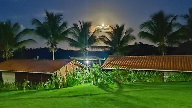 Uma área externa bem iluminada com gramado, palmeiras e um edifício com telhado de cerâmica.