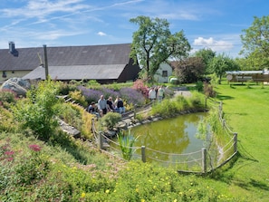Un jardin avec un étang, une clôture en bois et un bâtiment doté d’un toit en pente.