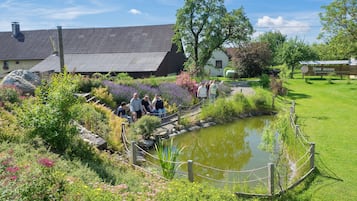 Terrain de l’hébergement