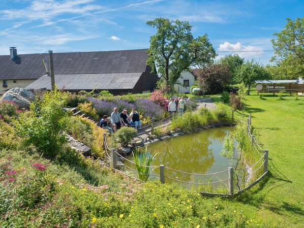 Enceinte de l’hébergement