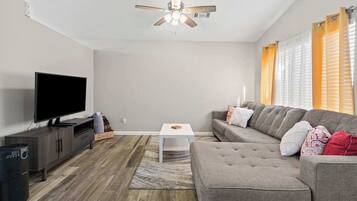 Télévision, cheminée, espaces bureaux