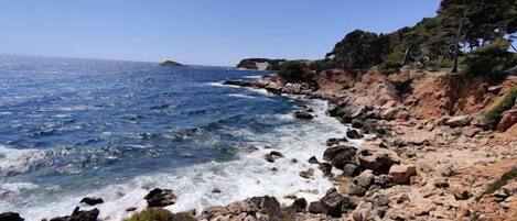 Rannalla