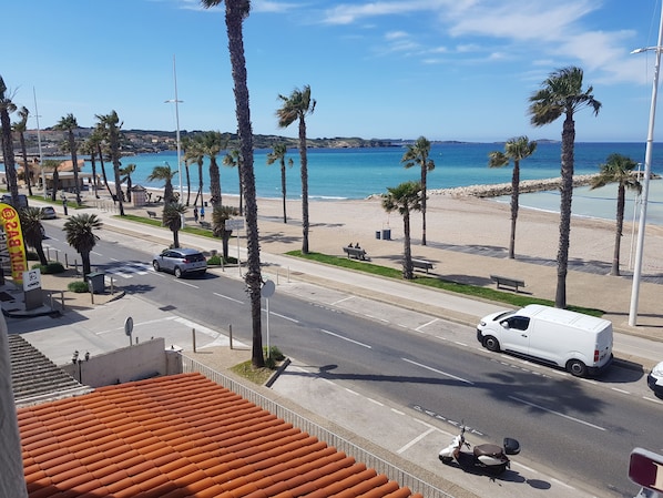 A coastal road with a beach and palm trees in the background.