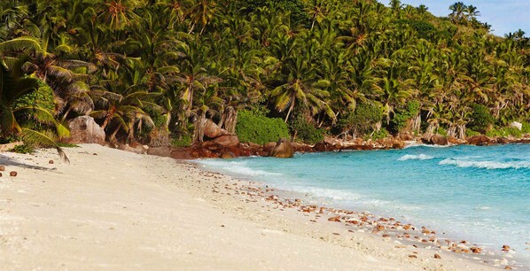 On the beach - Indulge in Home Like Comfort! Near Bonnegrace Beach! Pets Are Allowed! (Six-Fours-les-Plages)