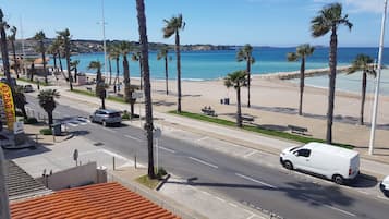 A coastal road with a beach and palm trees in the background.