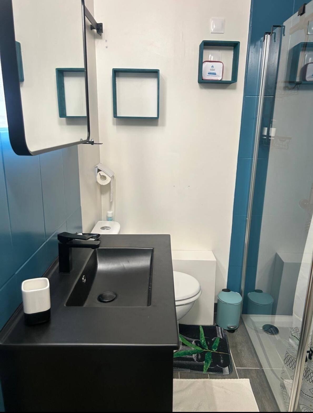 Secador de pelo, toallas, papel higiénico