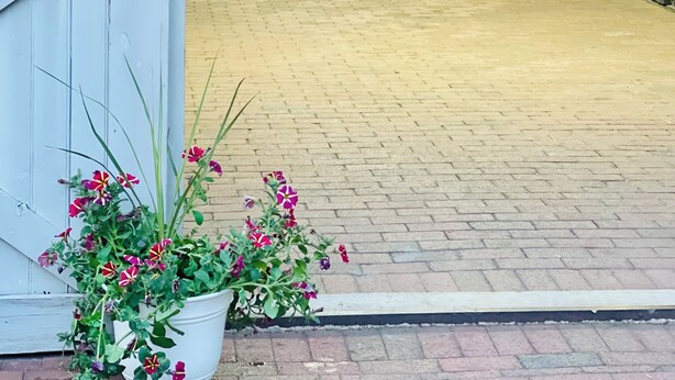 A covered barn entrance with a brick floor, metal gates, and a potted plant with flowers.