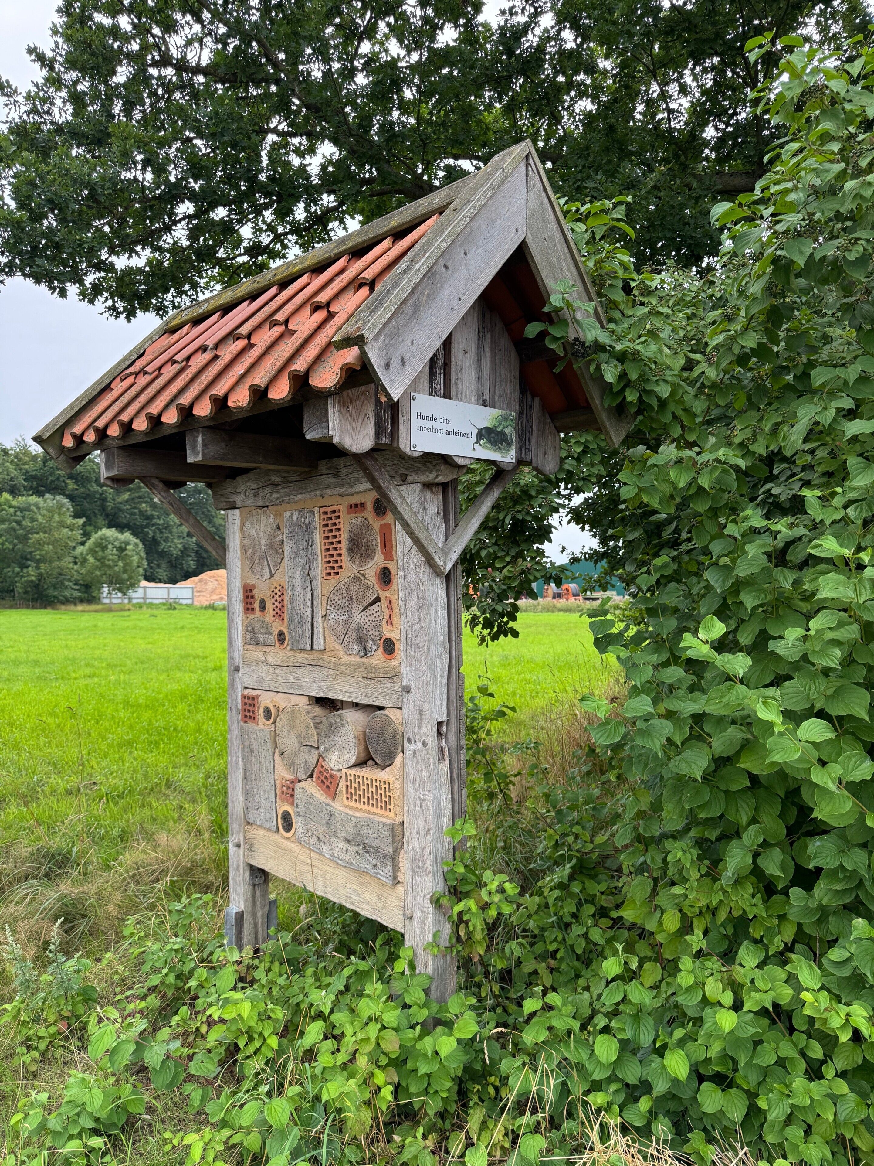En bikupa av trä, med en skylt, omgiven av grönska.