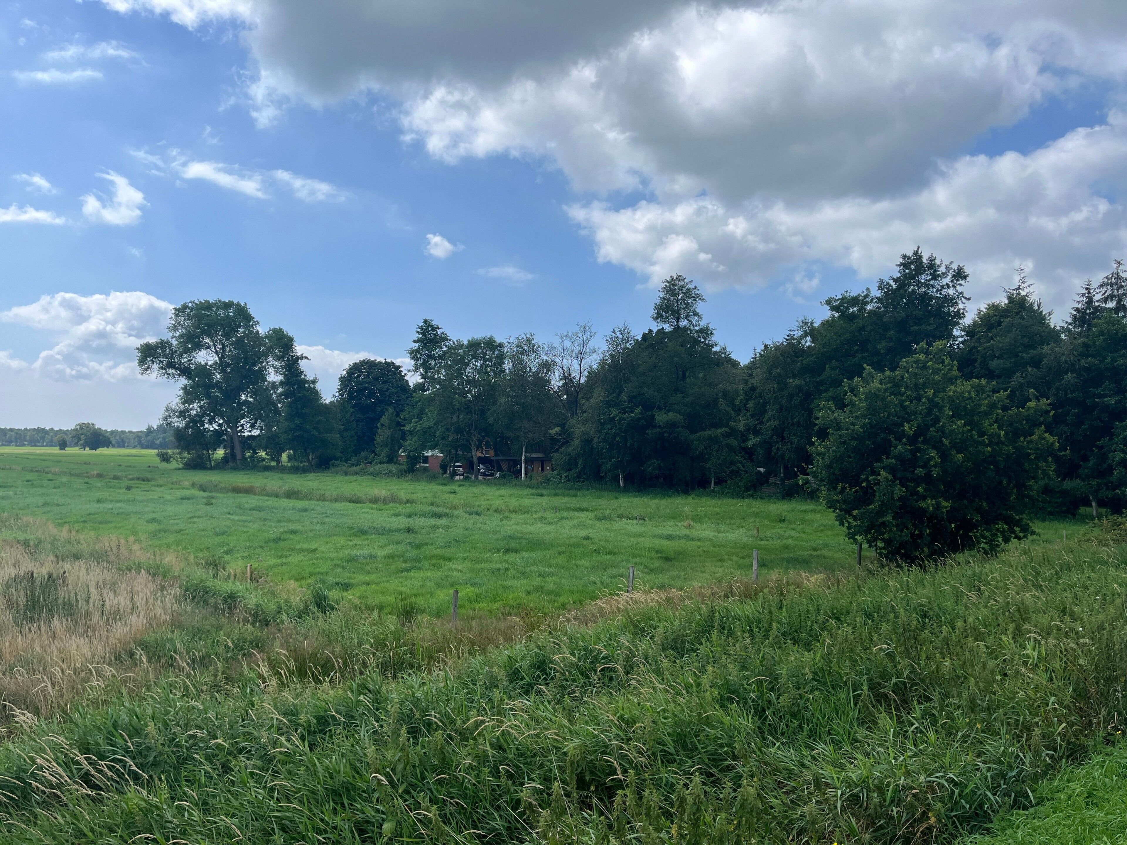 Een landelijk landschap met een grasveld, bomen en een gedeeltelijk bewolkte lucht.