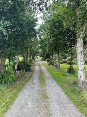 Un chemin de gravier bordé d’arbres et de verdure, qui mène à un parc.
