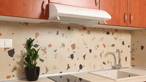 A kitchen with a countertop, a sink, a stove, and a potted plant. - Gregory Apartments  (Kassandra)