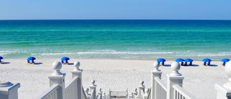 بالقرب من الشاطئ