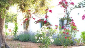 A white building with a garden in front, featuring various plants and flowers.